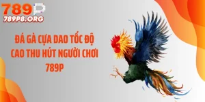 Đá Gà Cựa Dao Tốc Độ Cao Thu Hút Người Chơi 789P