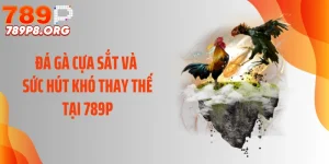 Đá Gà Cựa Sắt Và Sức Hút Khó Thay Thế Tại 789P