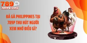 Đá Gà Philippines Tại 789P Thu Hút Người Xem Nhờ Điều Gì?
