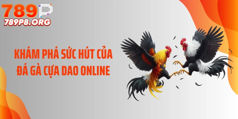Khám phá sức hút của đá gà cựa dao online