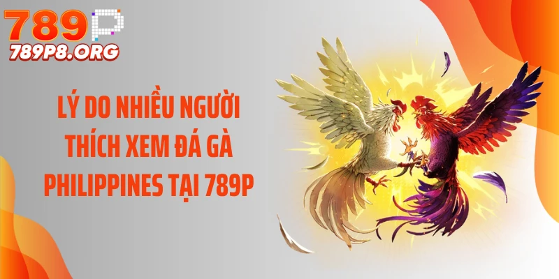 Lý do nhiều người thích xem đá gà Philippines tại 789P