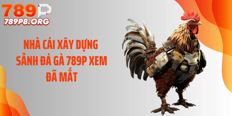 Nhà cái xây dựng sảnh đá gà 789P xem đã mắt