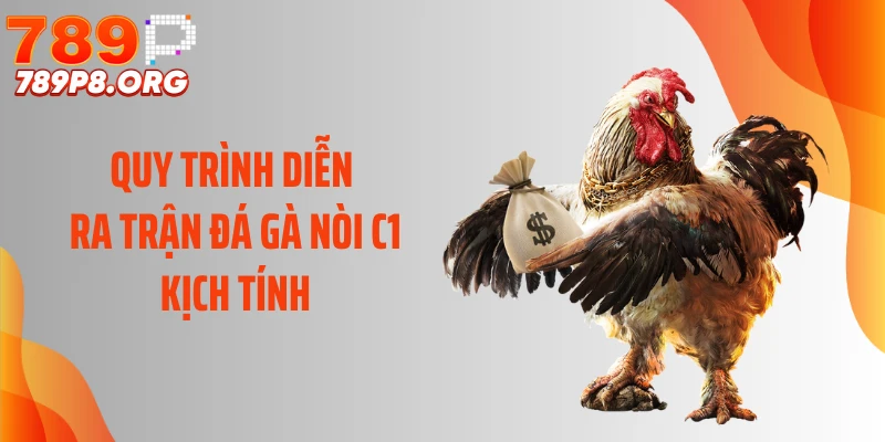 Quy trình diễn ra trận đá gà nòi C1 kịch tính