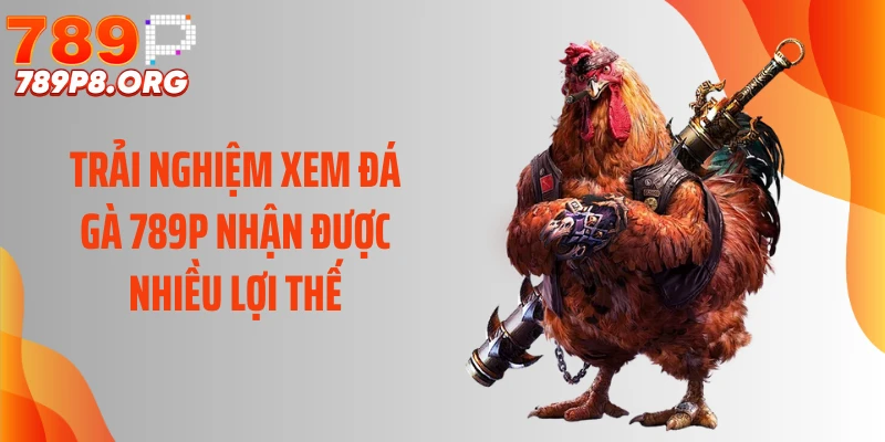 Trải nghiệm xem đá gà 789P nhận được nhiều lợi thế