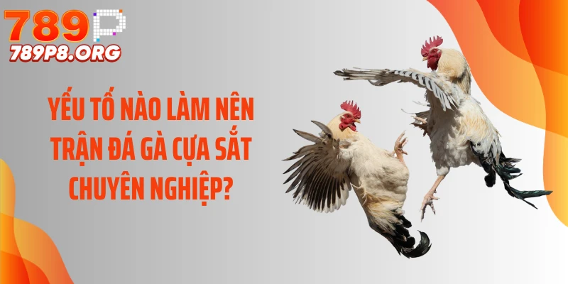 Yếu tố nào làm nên trận đá gà cựa sắt chuyên nghiệp?